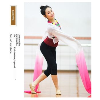 Dance Long Chiffon Sleeves - Peking Opera Stunts Dancing Practice Long Flowing Inner Sleeves（Rose Red Gradient L）