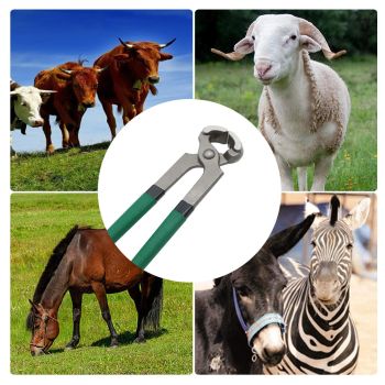 Goats Hoof Nipper 8" Carbon Steel Farrier Tool Multi-Purpose Hoof Trimmers with Plastic Grips for Cattle Sheeps Horses