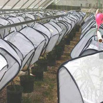 Butterfly Habitat,Outdoor Foldable Butterfly Cage Habitat Fine Mesh Stops - Mesh Panels for Air - Clear Window Panel for Easy Viewing
