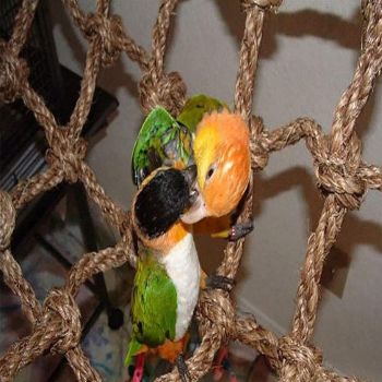 Bird Rope Perch Swing Climbing Net Toy Parrot Hammock for Cockatiels Cockatoo Rat Gerbil Chinchilla（60*60cm）