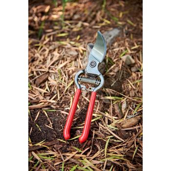 Forged Bypass Pruning Shears for Gardening | Cuts Branches and Stems up to 1/2-inch in Diameter 20cm in length，Red