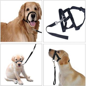 No-Pull Dog Headcollar for Large Dogs (Agressive/Reactive Dogs; Instant Stop Pulling; Gentle Training Collar for Dogs; Comfortable, Safe, and Effective Walking/Training Solution (Black, S)