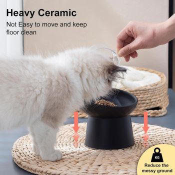 Ceramic Raised Cat Bowls, Elevated Tilted Cat Food and Water Bowls Set, Stress Free Pet Feeding Dish for Indoor Cats and Small Dogs, Anti Vomiting, Black, 2 Pack