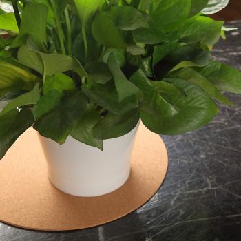 30cm Large Cork Plant Coasters, 2 Pieces Cork Plant Mats, Cork Coaster for Planters, Large Plant Coasters for House Plants Indoor Outdoor (Nude & Black)