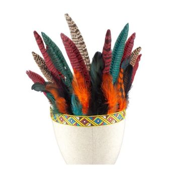 Peacock Feather Headband Headpiece Fascinator Headdress   Cosplay Headwear Stage photography runway props（55-60CM）