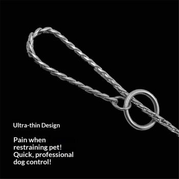 Dog P snake chain titanium steel metal dog training plug/collar is recommended for professional training (silver 4.5 * 45cm)