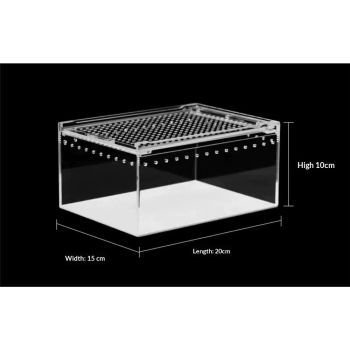 Reptile Terrarium Enclosure  Acrylic Tarantula Breeding Box Magnetic Hermit Crab Habitat Tank Transparent Jumping Spider Cage for Insect Snail Amphibians Sling Isopods（20*15*10cm）