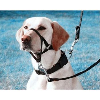 Pressure free dog training headband for traction, no traction hood, with adjustable seat belt for walking training, responsive large dog (M)Black