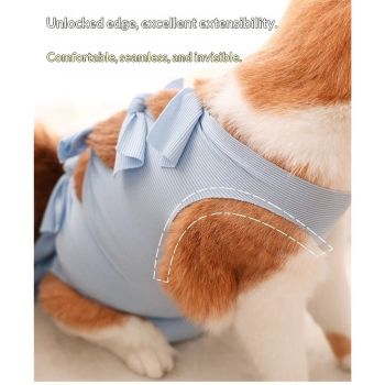 Cat Recovery Suit Anti Licking, Cats Surgery Recovery Suit Female Kitten Onesie After Spay, Cone of Shame Alternative, Post-Surgery Kitten Surgical Clothes for Abdominal Wounds (Blue,M)