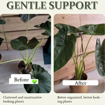 4 pcs Turtle Shell Bamboo Clamp Set - Reusable Clear Plastic Stem Support for Outdoor & Indoor Plants. Ideal for retaining Stems of Flowers, Herbs, and Vegetables