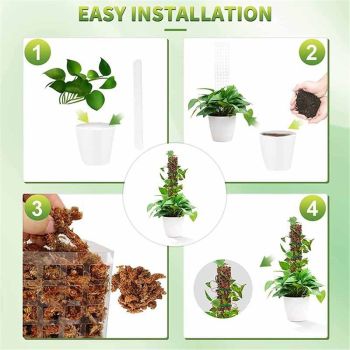 4 Pcs 24 Inch Plastic Moss Poles for – D-Shaped Plant Support for Climbing Vines, Compatible with Sphagnum Moss