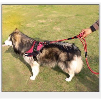 Dog Leash 5ft Long with 2 Comfortable Padded Handles, Reflective Threads Double Handles Lead for Control Safety Dog Training Leash for Small Medium Large Dogs (5 FT, Red)