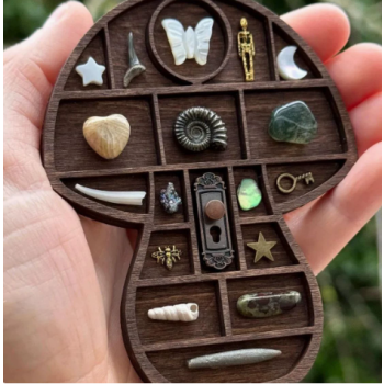 3.1 Inch Mini brown Mushroom Shape Rock Specimen Storage Box Crystal Mineral Display Case Gemstone Rock Organizer Holder