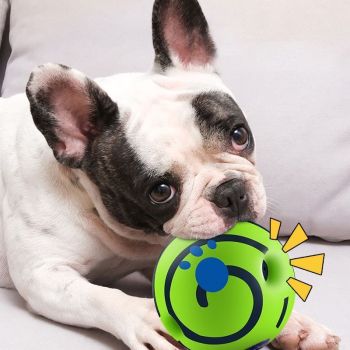 10cm Dog Squeaky Ball OPP Bag