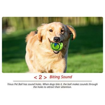 7cm Dog Squeaky Ball OPP Bag