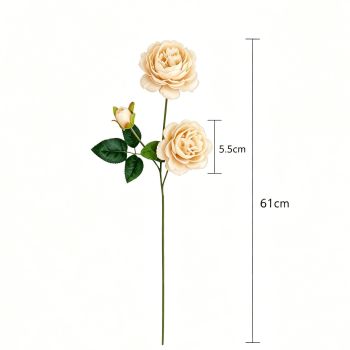 Artificial Champagne French Peony, Gentle Decor, 5 Pack