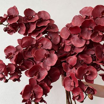 Artificial Oil Painting Phalaenopsis, Dark Red, 3 Pack