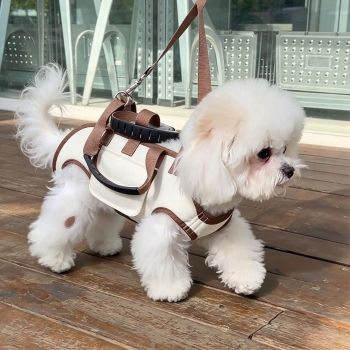 Pet Horizontal Shoulder Crossbody Bag Leo Black Upgraded Version XL Size for 19.8‑25.4lbs Dogs, Portable Breathable Dog Handbag With Double Shoulder Strap & 1.5m Traction Rope, Halloween Puppy Outdoor Travel Bag