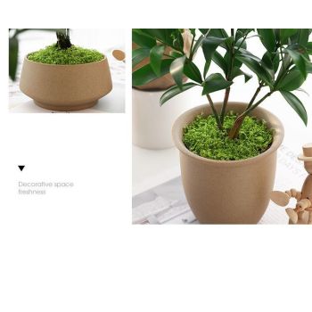 Light Green Artificial Moss 50×50cm