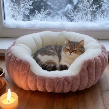 Pet owners are searching: Winter thick rabbit fur pet bed, ultimate cold-proof warmth solution(grey  NO:M)