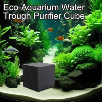Cubes Purificateurs of Water for Abreuvoir a Chevaux
