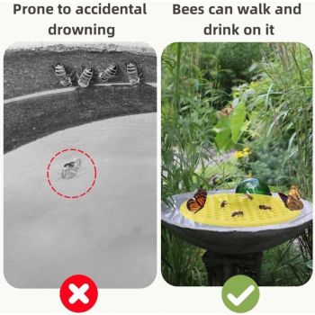 4 Pcs Distributeur of Water for Abeilles Ile Flottante Aux Abeilles Plateau for Station of Abreuvement of Abeilles