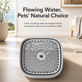 Black 3L/101oz Automatic Cat Water Fountain,6 Filter Included, Pet Water Dispenser with USB Wired Power,Detachable Design,Ultra-Quiet Pump (≤30dB),3-Stage Filtration,Anti-Dry Burning Warning Light,BPA-Free for Multiple Cats & Small Dogs