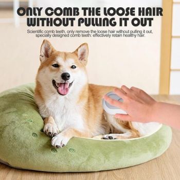 3 in 1 Steam Cat Brush, USB Rechargeable Pet Steaming Grooming Brush with Water Tank & Release Button, Self-Cleaning Massage Hair Remover Comb for Long Short Haired Dogs and Cats