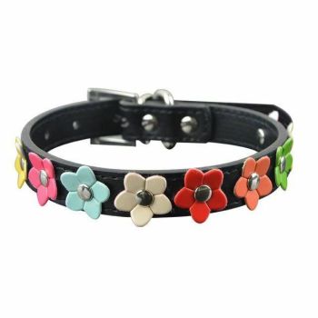 House Of Dasein Rainbow Flower Collars Pet Play Puppy Kitten Bondage Kink Fetish Restraints - Black - L