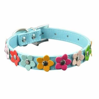 House Of Dasein Rainbow Flower Collars Pet Play Puppy Kitten Bondage Kink Fetish Restraints - Blue - Xs