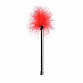 House Of Dasein Rattan Cane Spanking Rods Ticklers Sensory Bdsm Impact Play Bondage - Red - Red Tickler