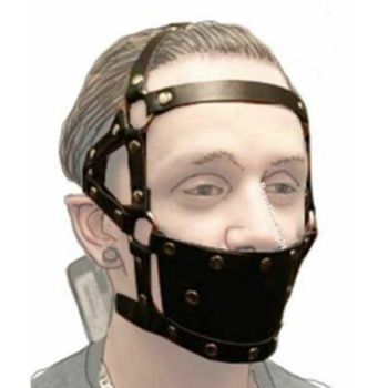 House Of Dasein Ball Gag Head Harness Mask Muzzle Blindfold Bondage Kink Bdsm Fetish Restraints - Style I