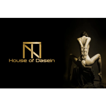 House Of Dasein Real Leather Bondage Kit Cuffs Restraints Collar Flogger Bdsm