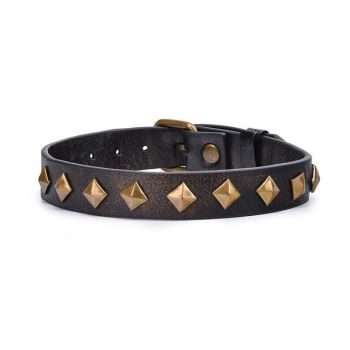 House Of Dasein Leather Rivet Slave Collar Bronze Bdsm Bondage Necklace - Bronze