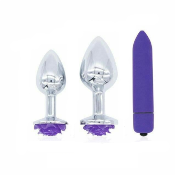House Of Dasein Purple Rose Stainless Steel Anal Plugs 3 Sizes Vibrating Bdsm Butt Set - Rose - S + M Plug - 2 Set + Vibrator