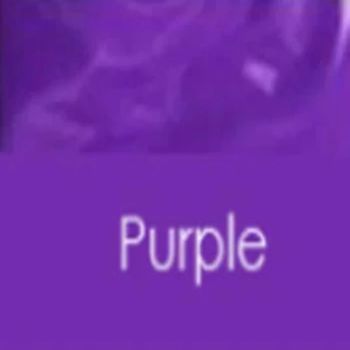 House Of Dasein Latex Panties Women Crotch Zip Underwear Beach Wear Customised Options - Purple - Xxl