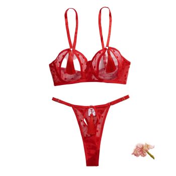 House Of Dasein Love Perspective Mesh Sexy Tassel Fun Hollow Underwear Two Piece Set For Women - Red - S