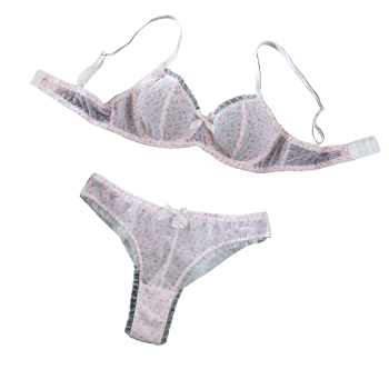 House Of Dasein Sexy Mesh Heart Print Bra Set Ultra Thin Comfortable Tempting Lingerie Two Piece - Crushed Flower - S