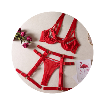 House Of Dasein Strappy Fetish Lingerie Bra Garter Underwear For Women In Black And Red - Red - S