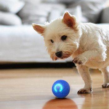 2Pcs 5CM Automatic Moving Ball Toys for Cats USB Rechargeable Interactive Cat Bouncing Toys