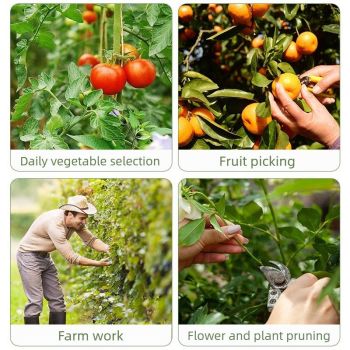 Spring Pruning Shears for Fruit Vegetable Picking, Detachable Blade Garden Harvest Cutter, Portable Plant Stem Cutting Tool-Green