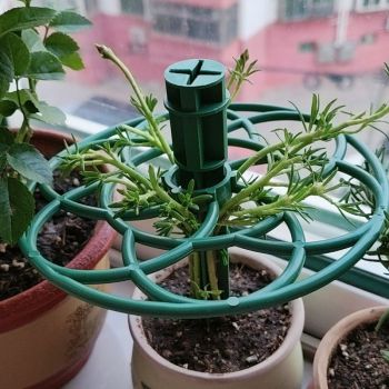 Sunflower-Shaped Plant Support Trellis – Small Climbing Flower Stand for Potted Plants, Garden Stacking Planter Holder