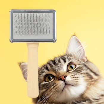 Long Hair Pet Steel Pin Brush