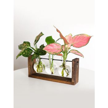 Wall Mounted Hydroponic Vase Green Plant Wooden Frame Vase for Living Room Home Decor
