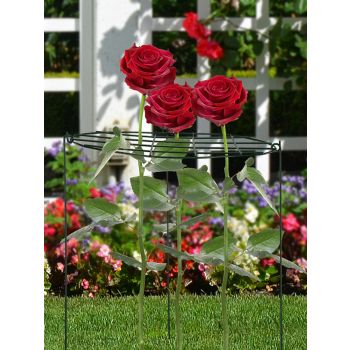 Garden Grid Shaped Iron Metal Plant Stand Strawberry Stand Plant Support Stake