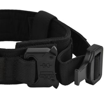 Traction Dog Collar with Buckle Nylon Iron Training Hunting Collar Pet Accessory for OutdoorBlack XL