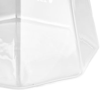 600ml Hand Drip Coffee Glass Cup with Unique Eagle Beak Handles for Making Coffee