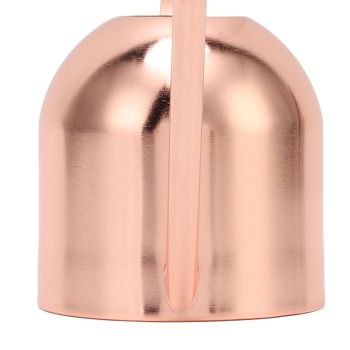 Watering Can for House Bonsai Garden Flower Outdoor Indoor Plants Long Spout Pot Stainless Steel Rose Gold