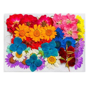36Pcs Dried Flowers Assorted Styles Colors Natural Material Multi Purpose Dried Flower Heads for Decoration DIY