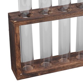 5 Test Tube Plant Terrarium Transparent Observe Growth Status Water Plant Holder with Wooden Stand for Herbs Carbon Color